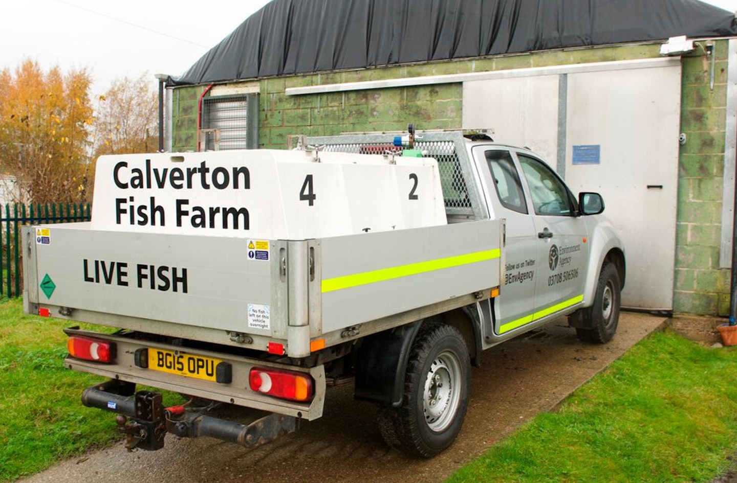 Fish move to new homes on flatbed trucks