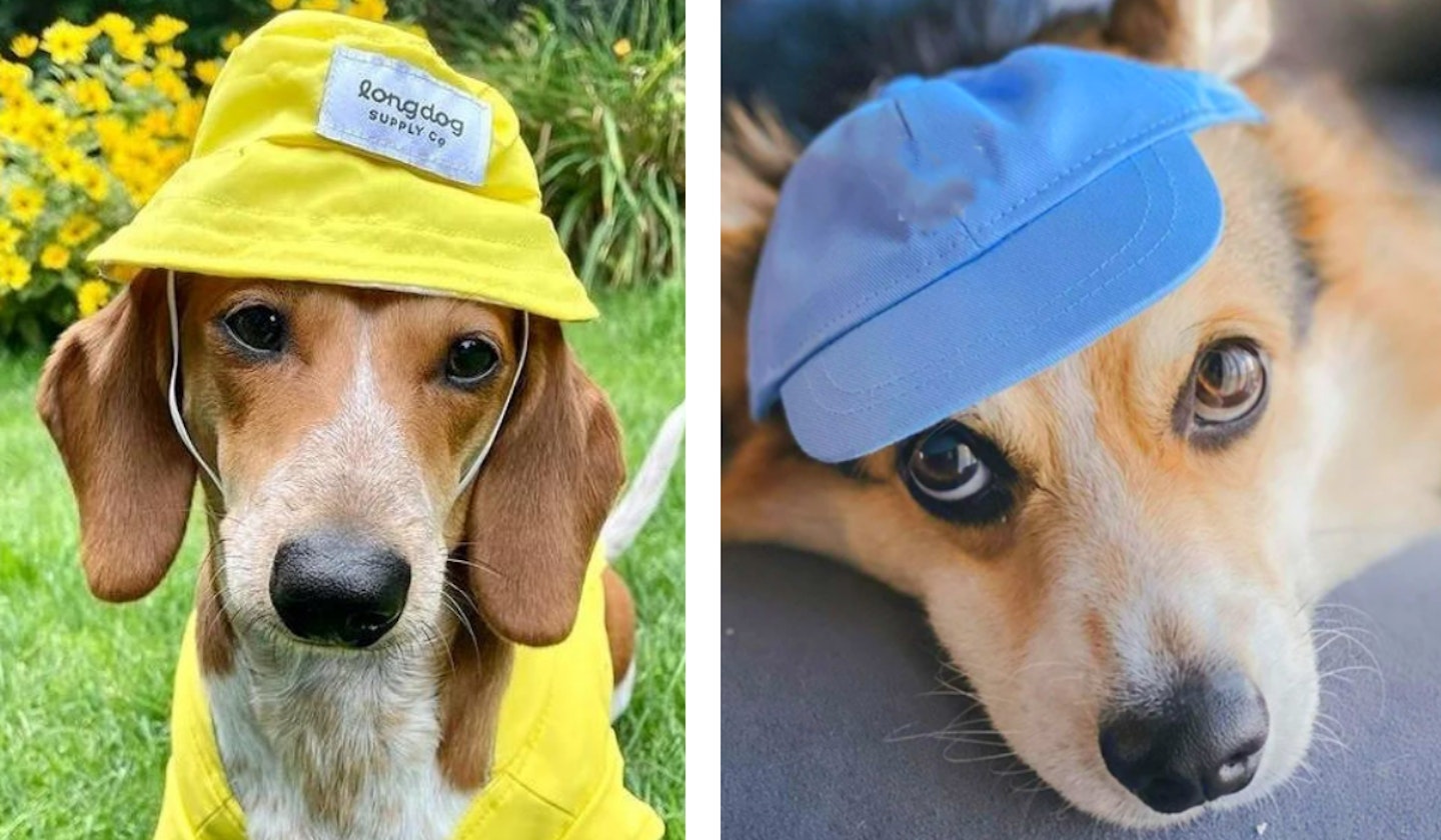 Best Dog Sun Hats 2022