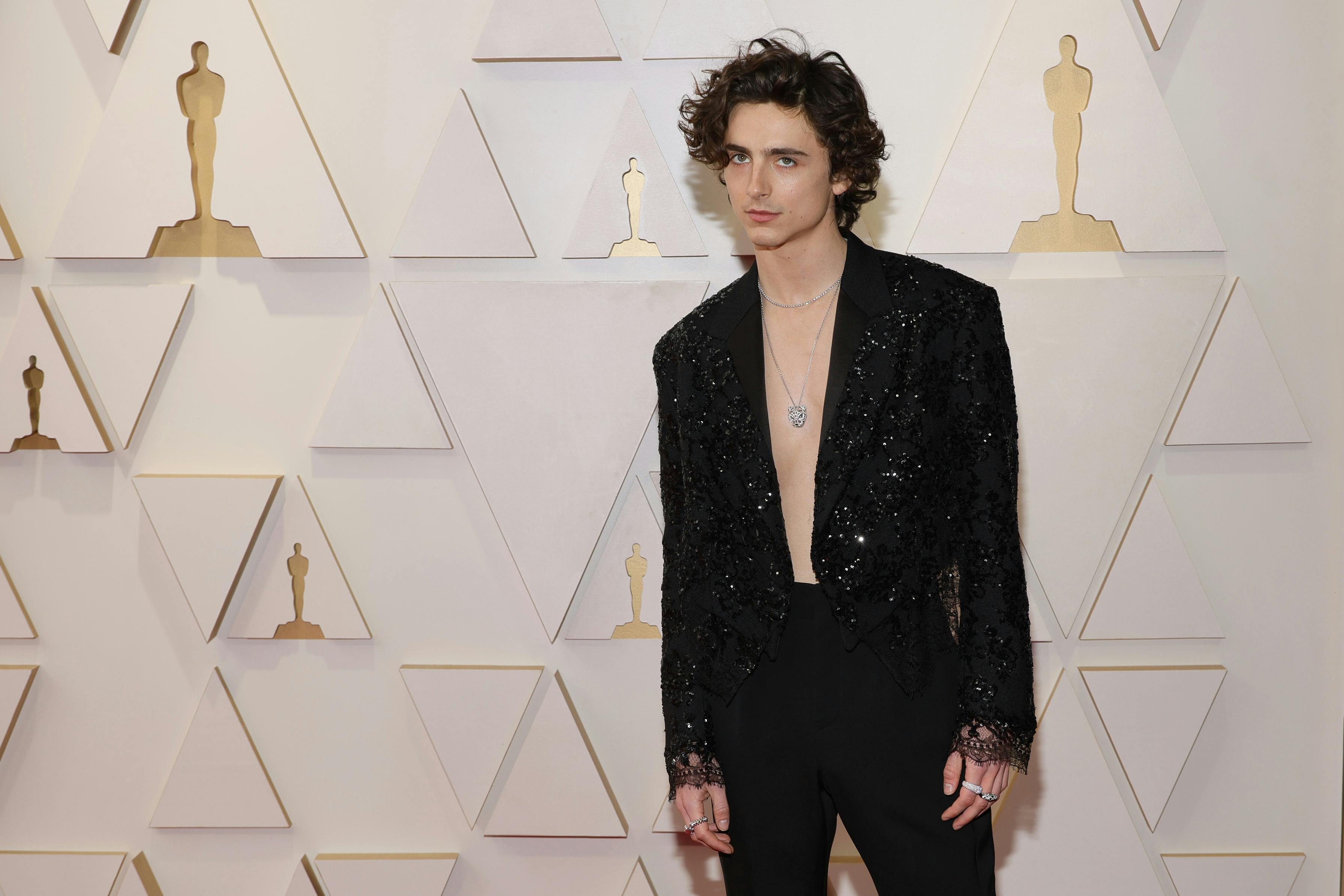 Louis vuitton timothee online chalamet