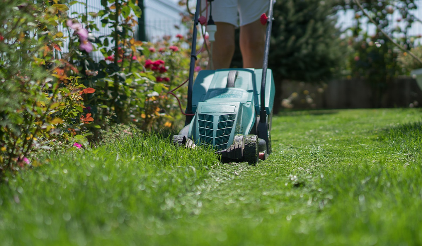 Best electric lawn mowers