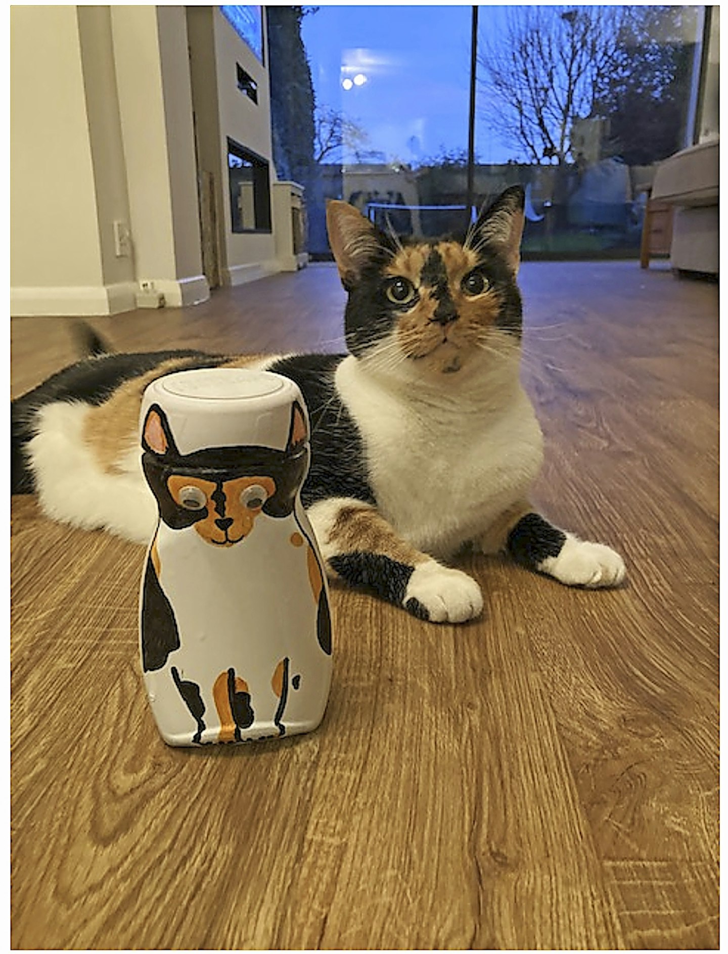 A paw-fect IDEA