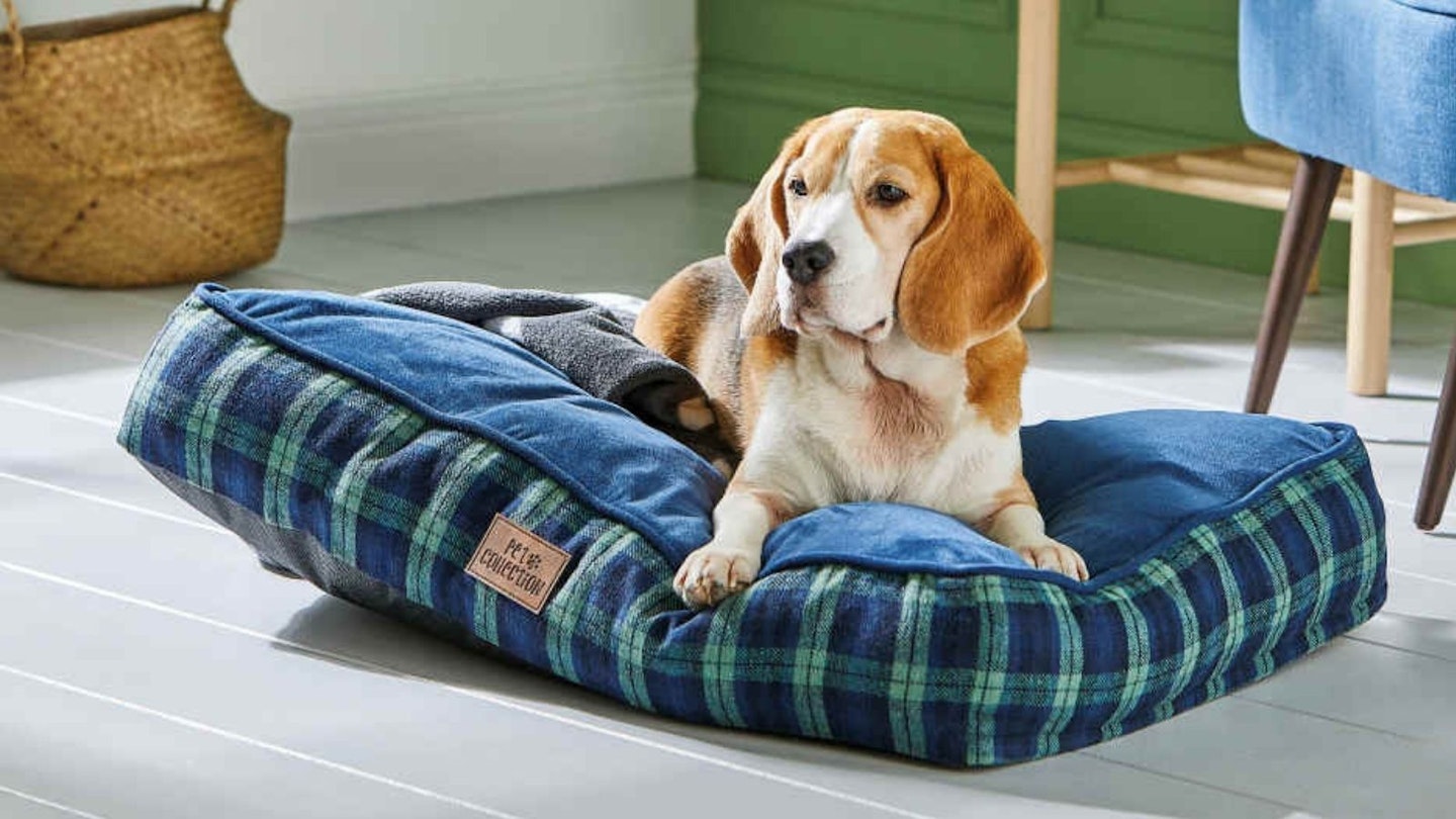 We absolutely love the new Aldi dog bed range: Aldi dog bed