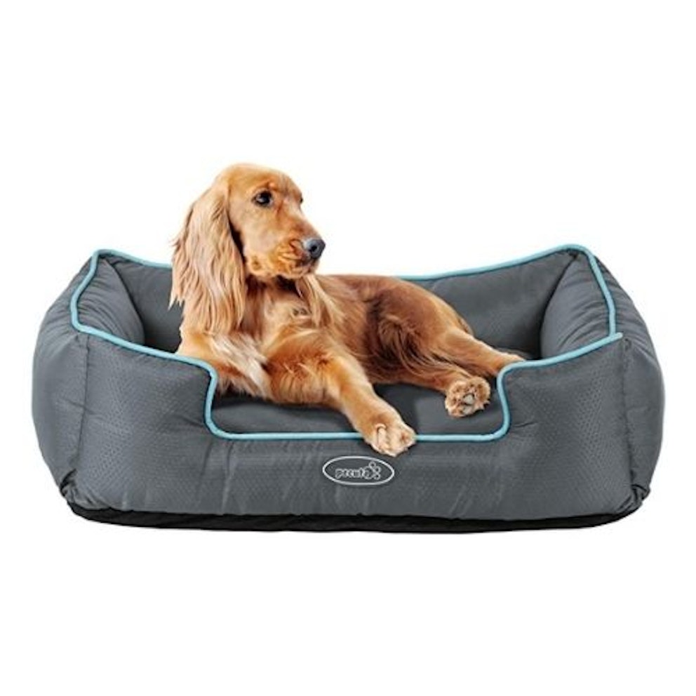 We Love The Aldi Dog Bed Range And Your Pooch Will Too