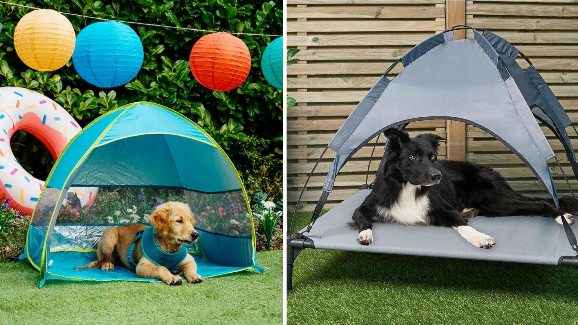 The best dog sun shade to help your pup cool off in the heat Life Yours