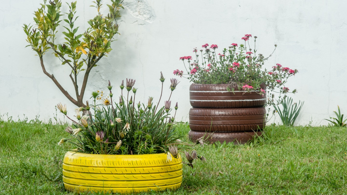 Tyres being used as plant pots