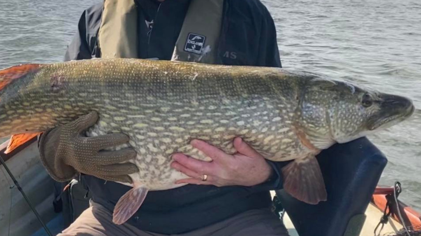Biggest-ever UK pike on a fly