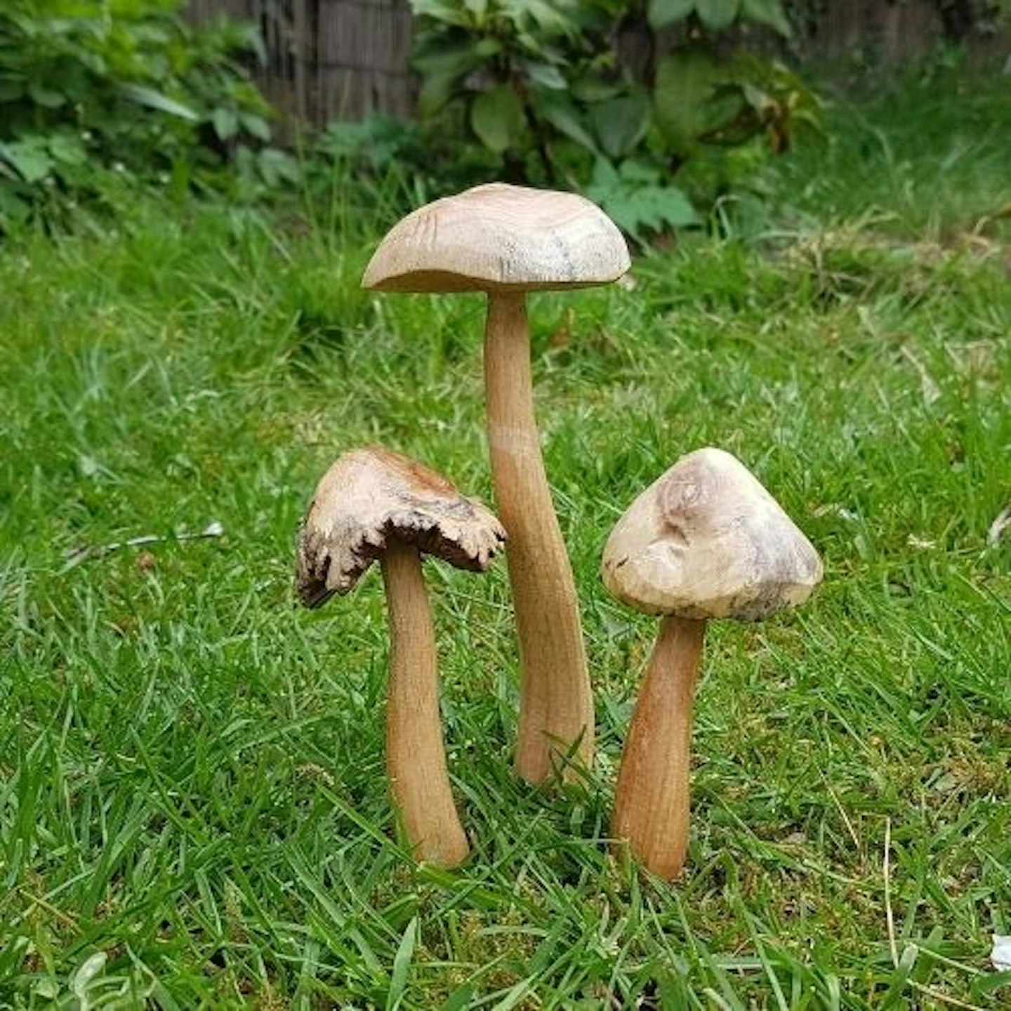 wooden fairy garden mushroom set