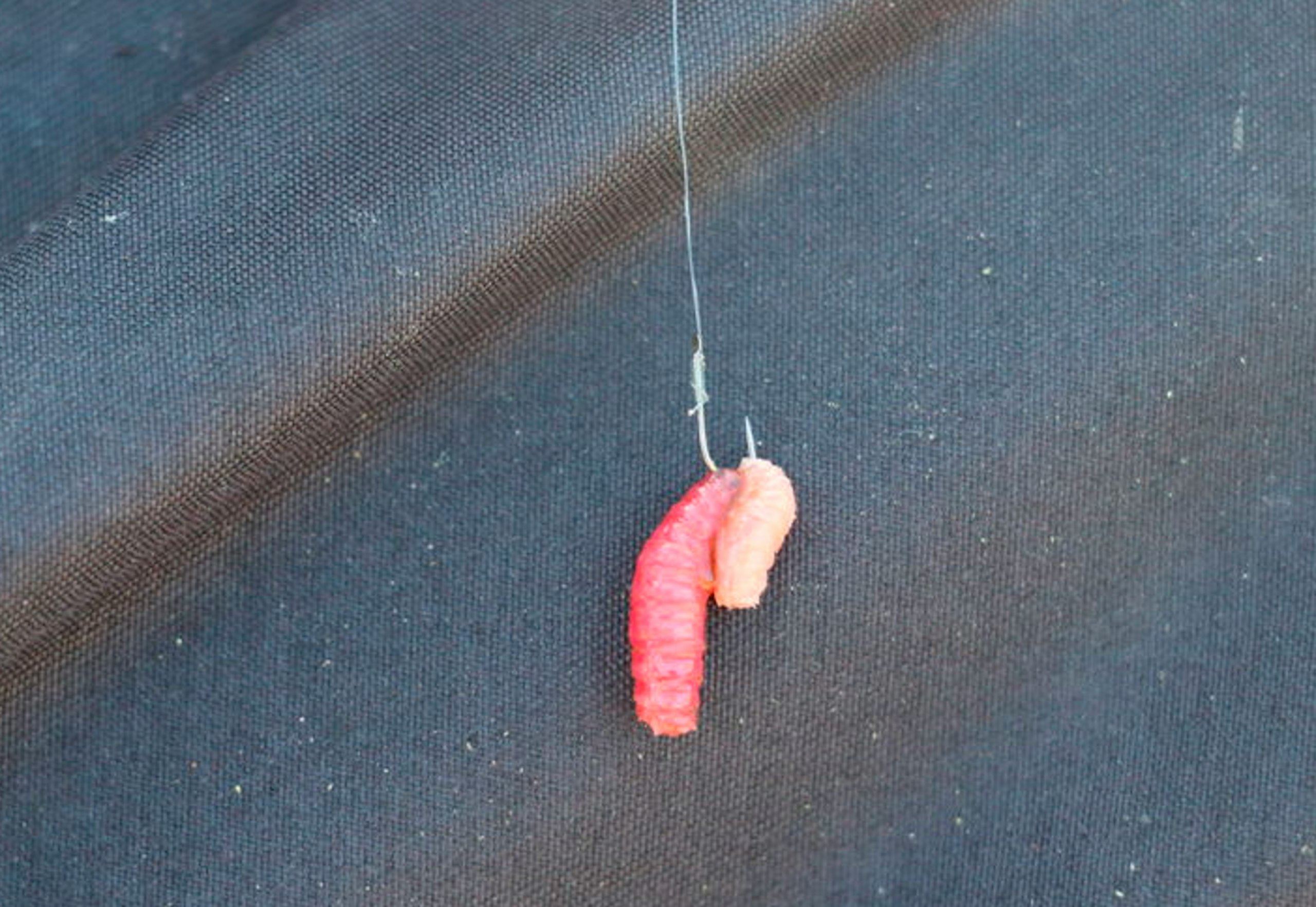 Vary your hookbaits