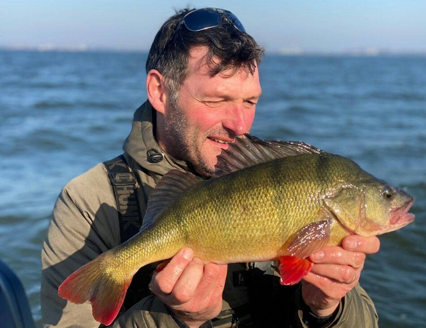 All of the big perch fell to a Ned rig