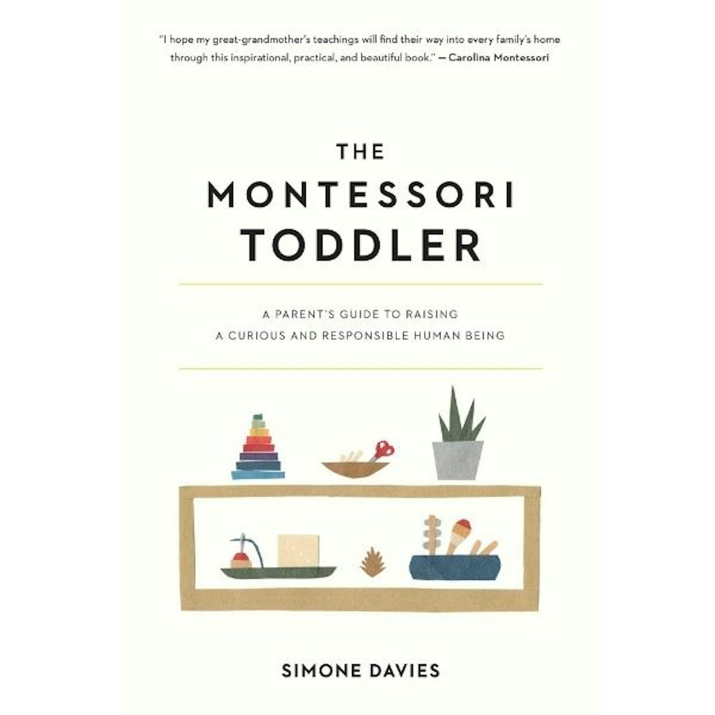 The Montessori Toddler