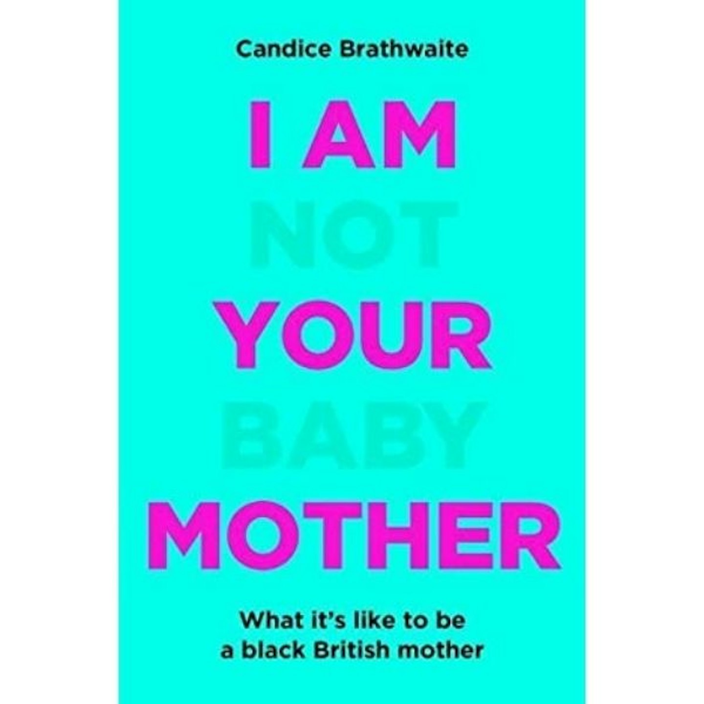 I Am Not Your Baby Mother