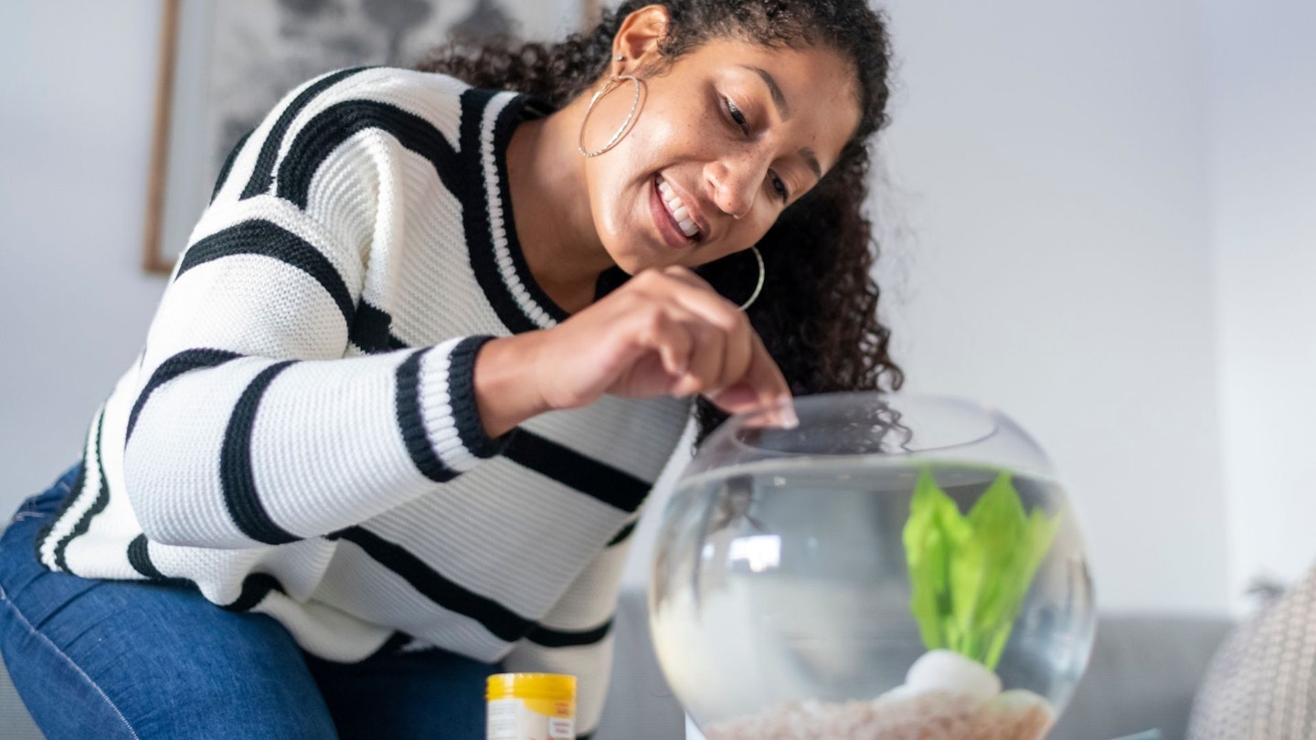 A woman feeds her pet fish in the morning. She is smiling as she adds flakes of fish food to the small tank.