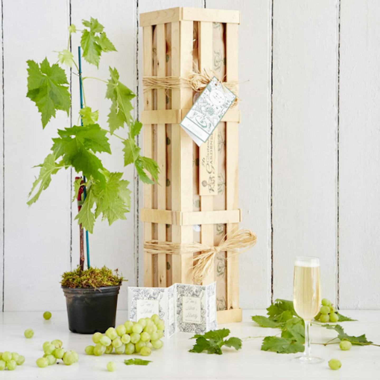 The Gluttonous Gardener Grow Your Own Prosecco Style Sparkling Wine Gift Crate