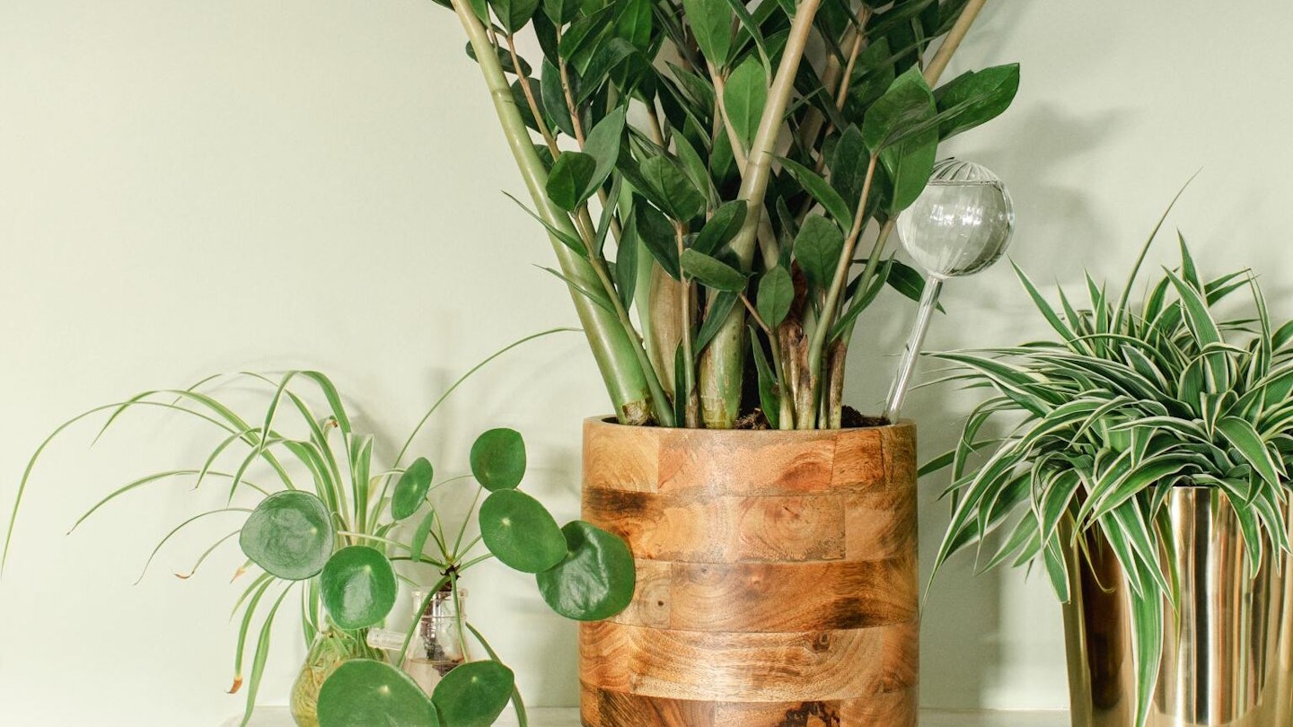 the best indoor plant pots - H&M