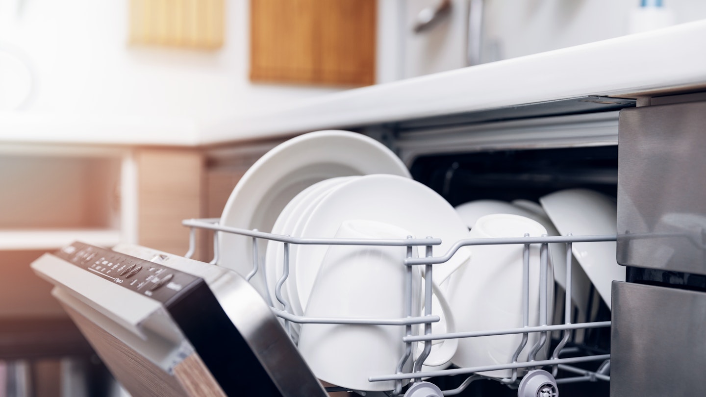 dishwasher-cleaner