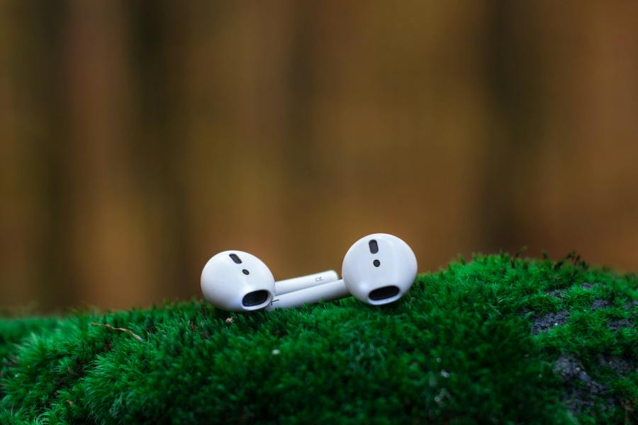 A pair of AirPods on a moss-covered rock