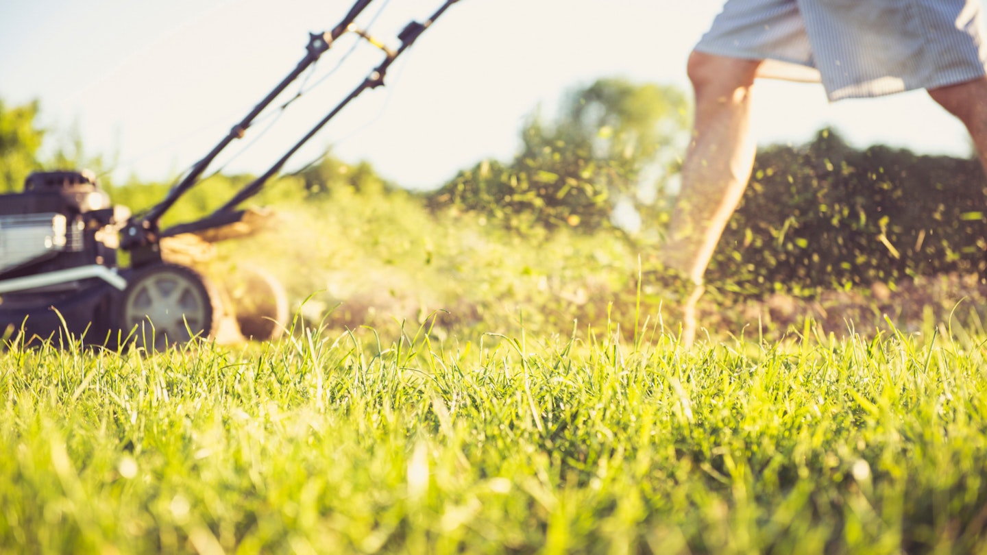 Mowing the lawn