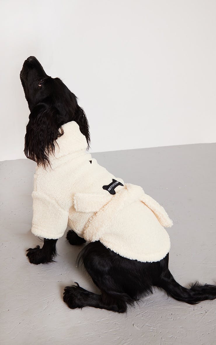 Asda dog clothes clearance range