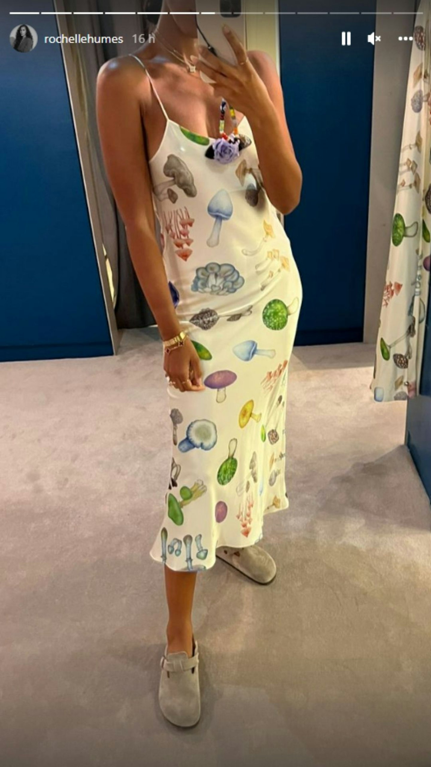 Rochelle Humes