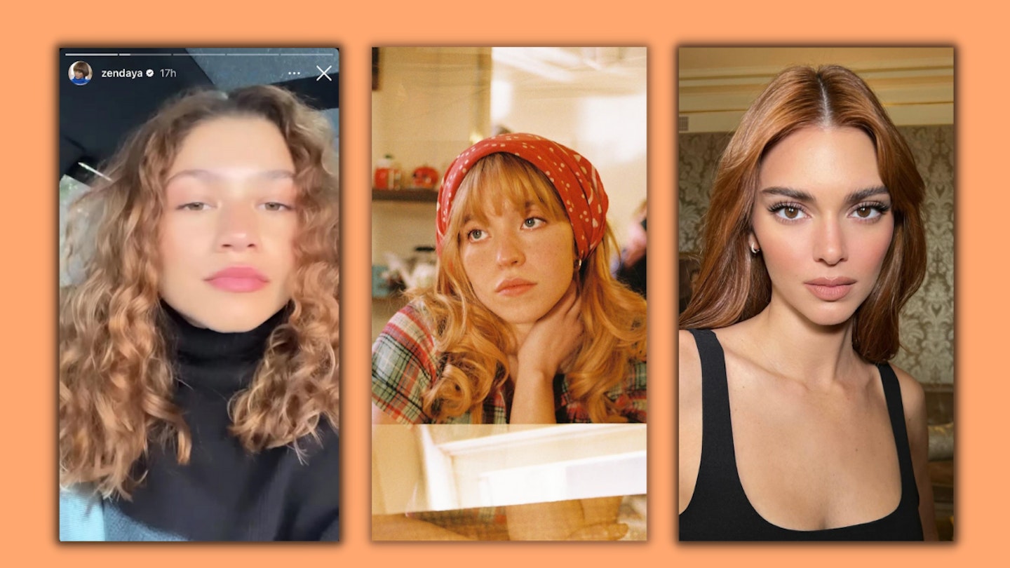 instagram pictures/stories of zendaya, sydney sweeney, and kendall jenner wearing the colour honey red in their hair