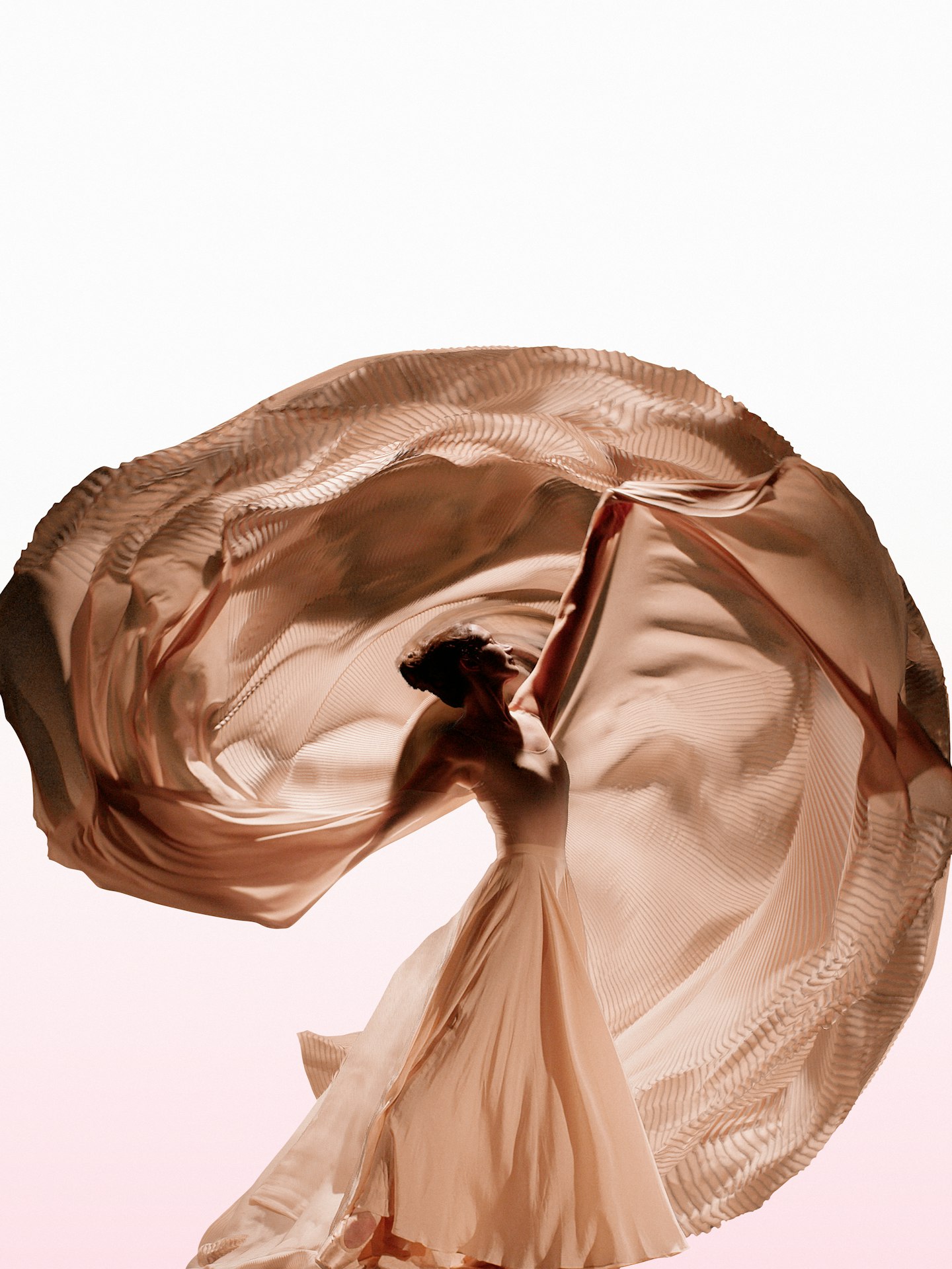 Lauren Cuthbertson Creed Wind Flowers