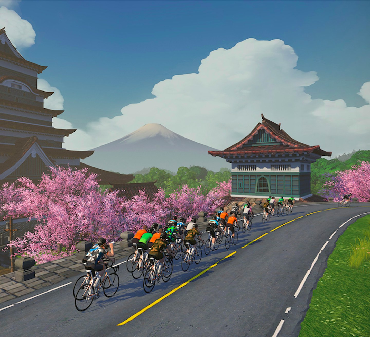 Zwift, £12.99 a month