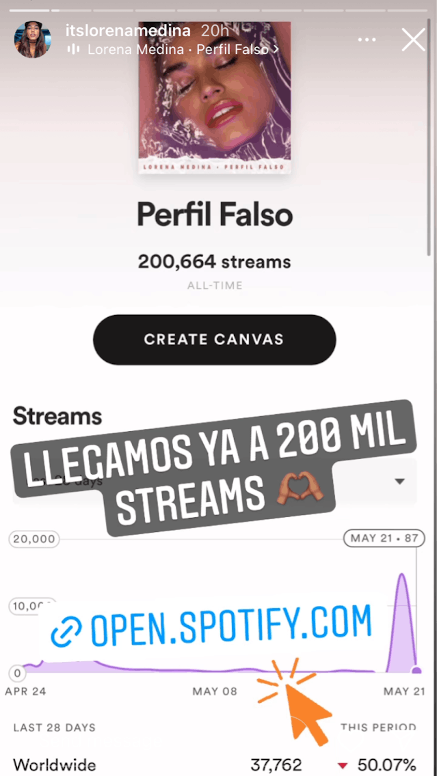 @lorenamedina's Instagram story