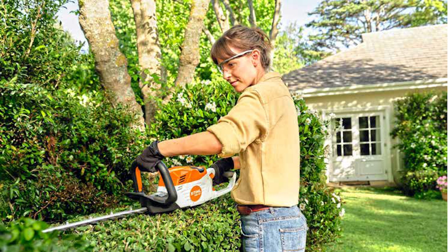 Stihl hedge trimmer discount models
