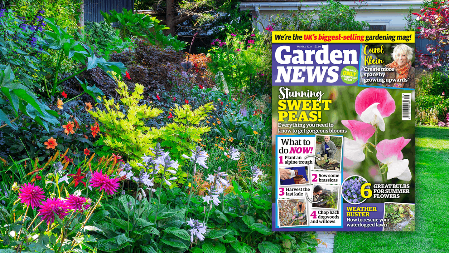 Subscribe-to-Garden-news