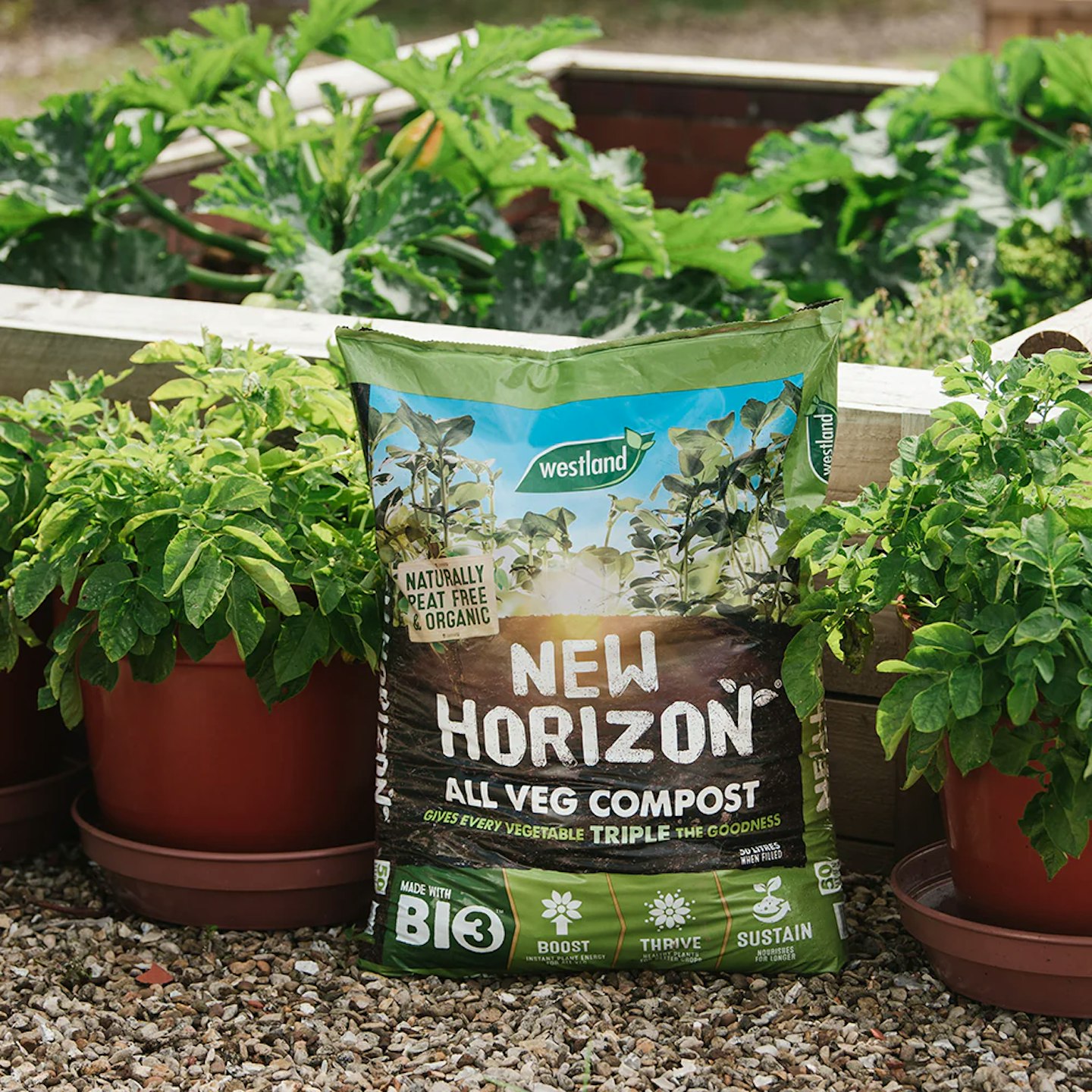 New Horizon All Veg Peat-Free Compost