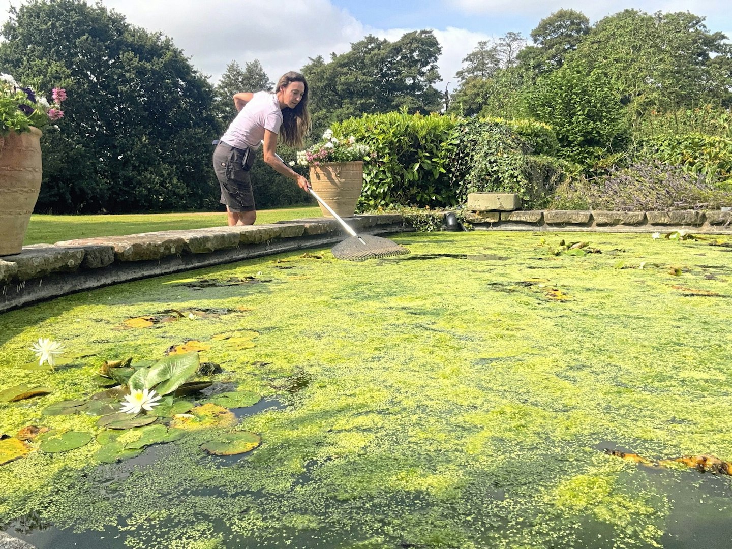 Autumn Pond Care