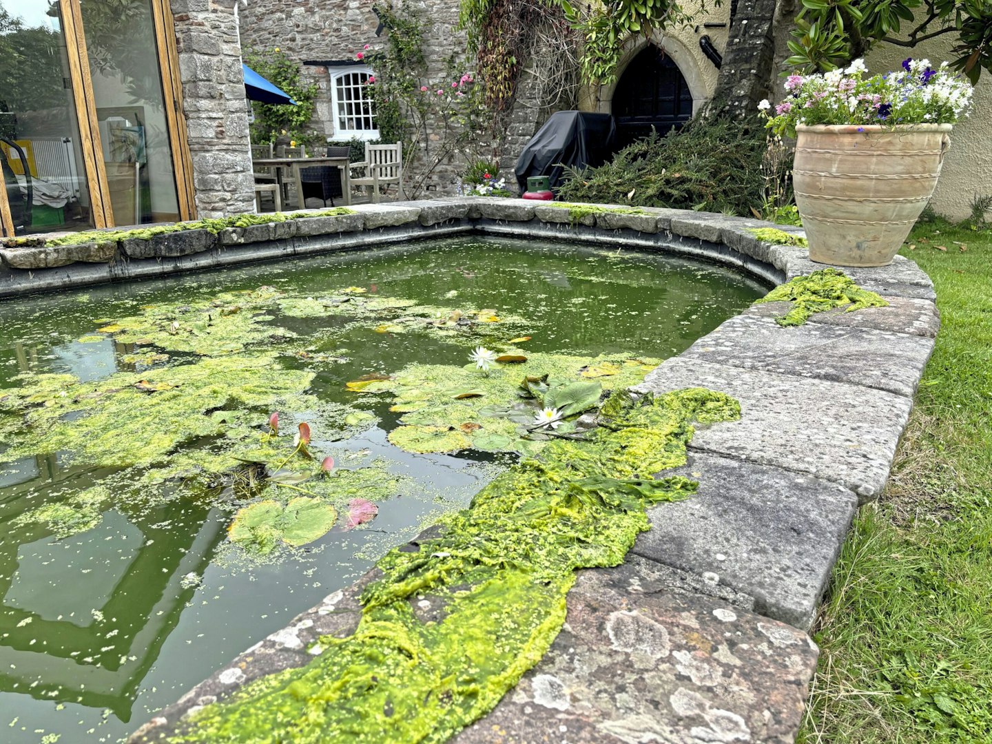 Leave pond waste at the side of the pond