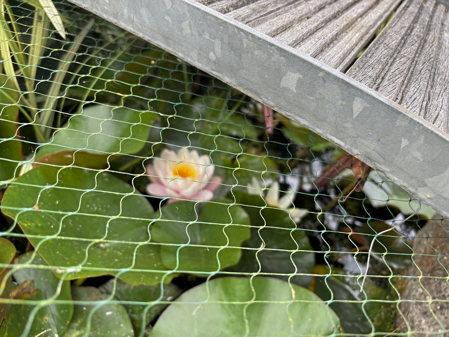 Put pond nets back