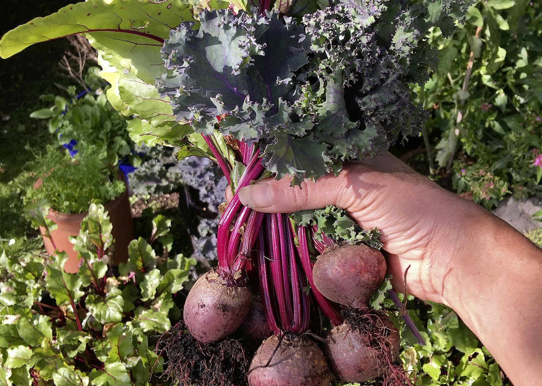 Grow your own superfoods for a healthier garden and kitchen