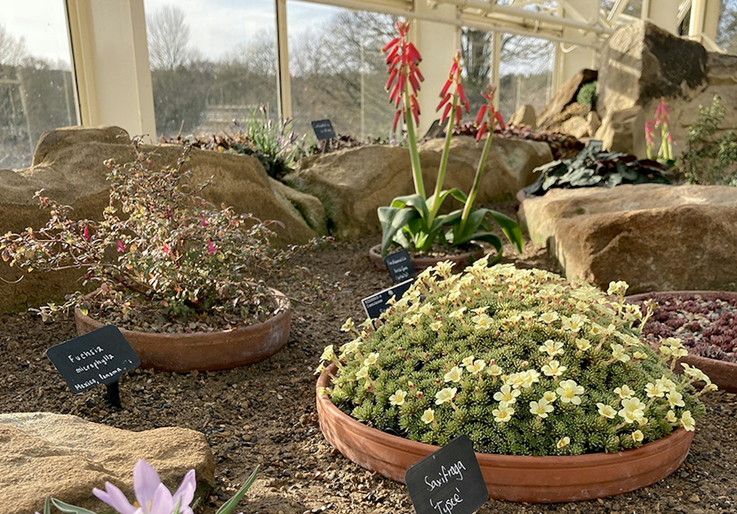 The Alpine House at RHS Garden Harlow Carr