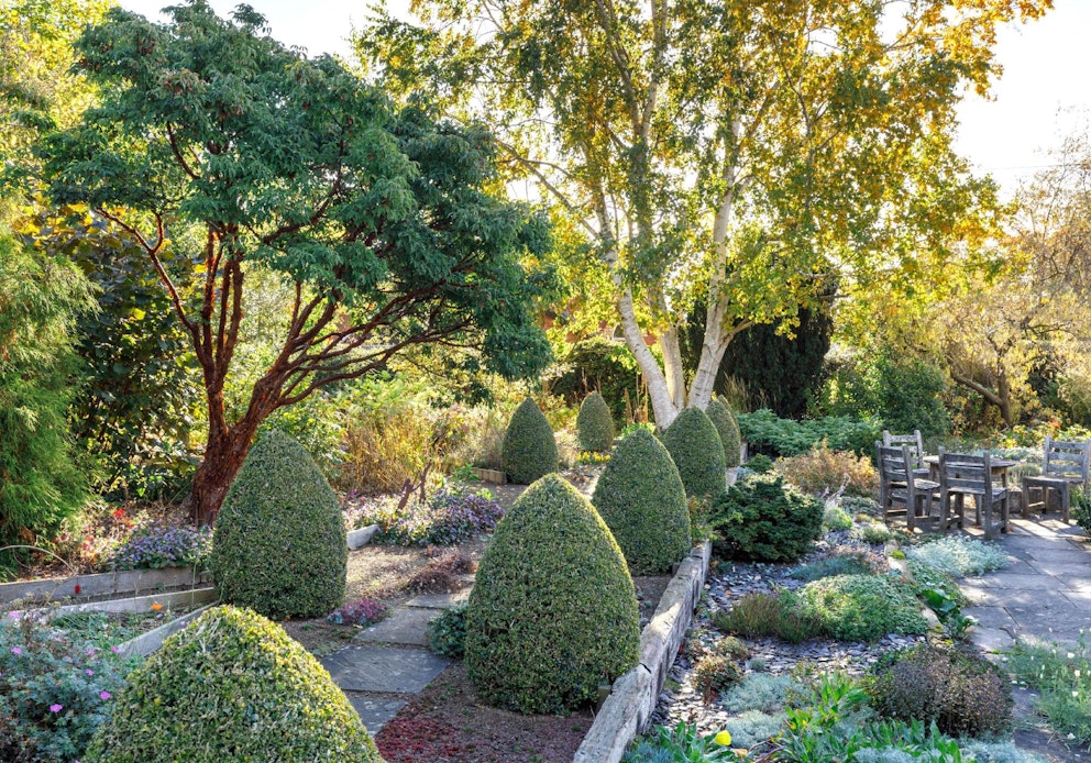 Global inspiration | Garden Answers