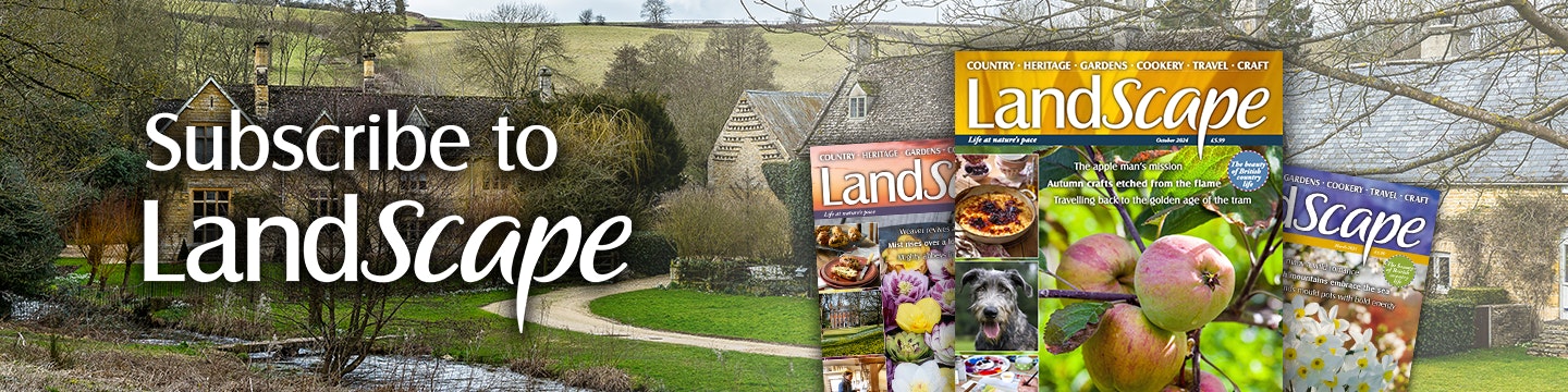 Subscribe to LandScape magazine