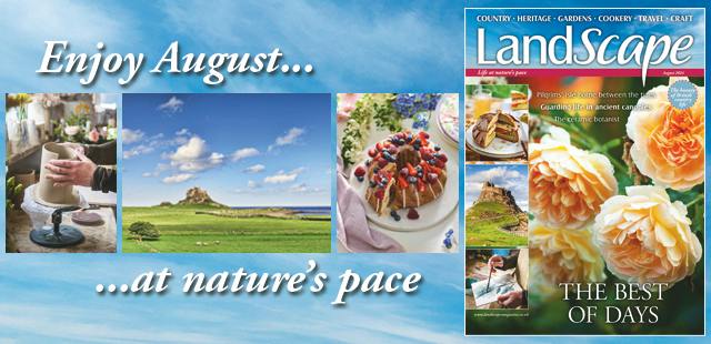 Landscape Magazine