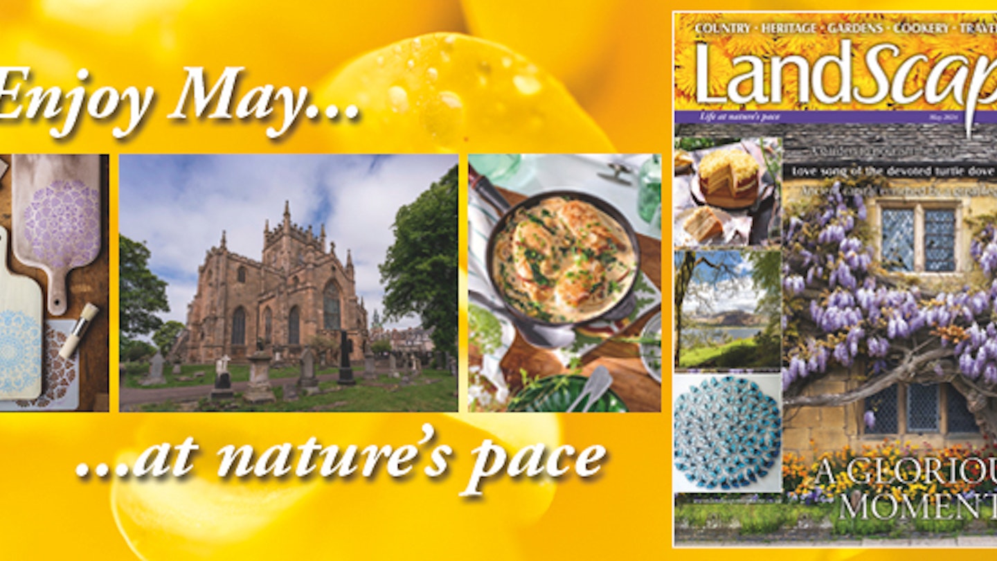 LandScape magazine in the May issue 2024