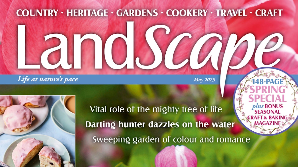 Landscape Magazine