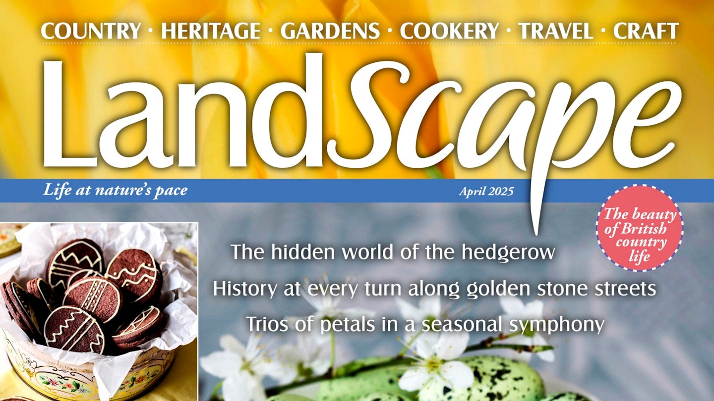 Latest Issues | Magazine | Landscape