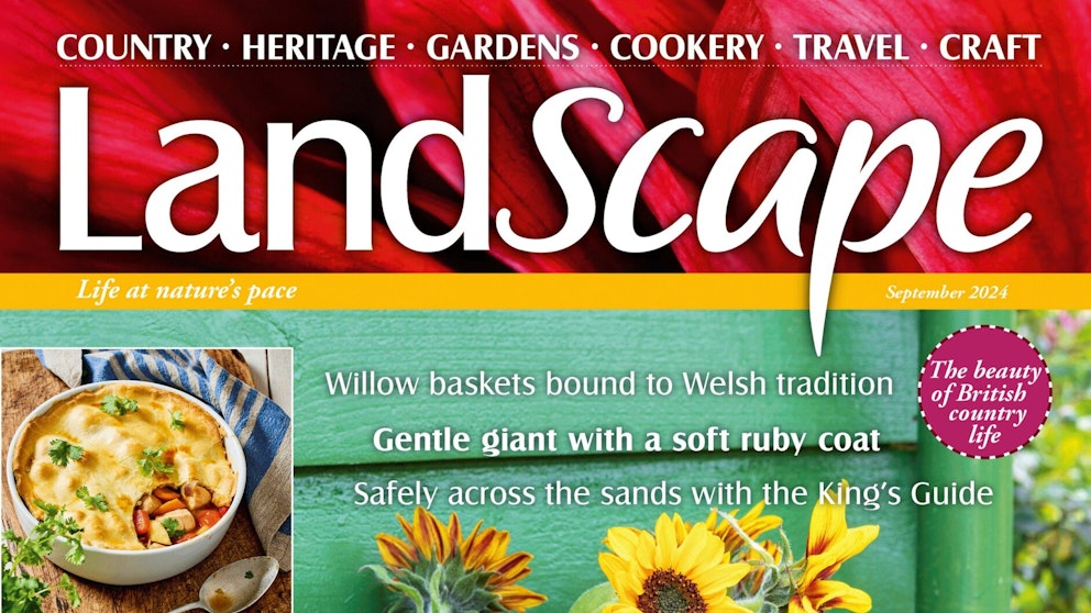 Landscape Magazine