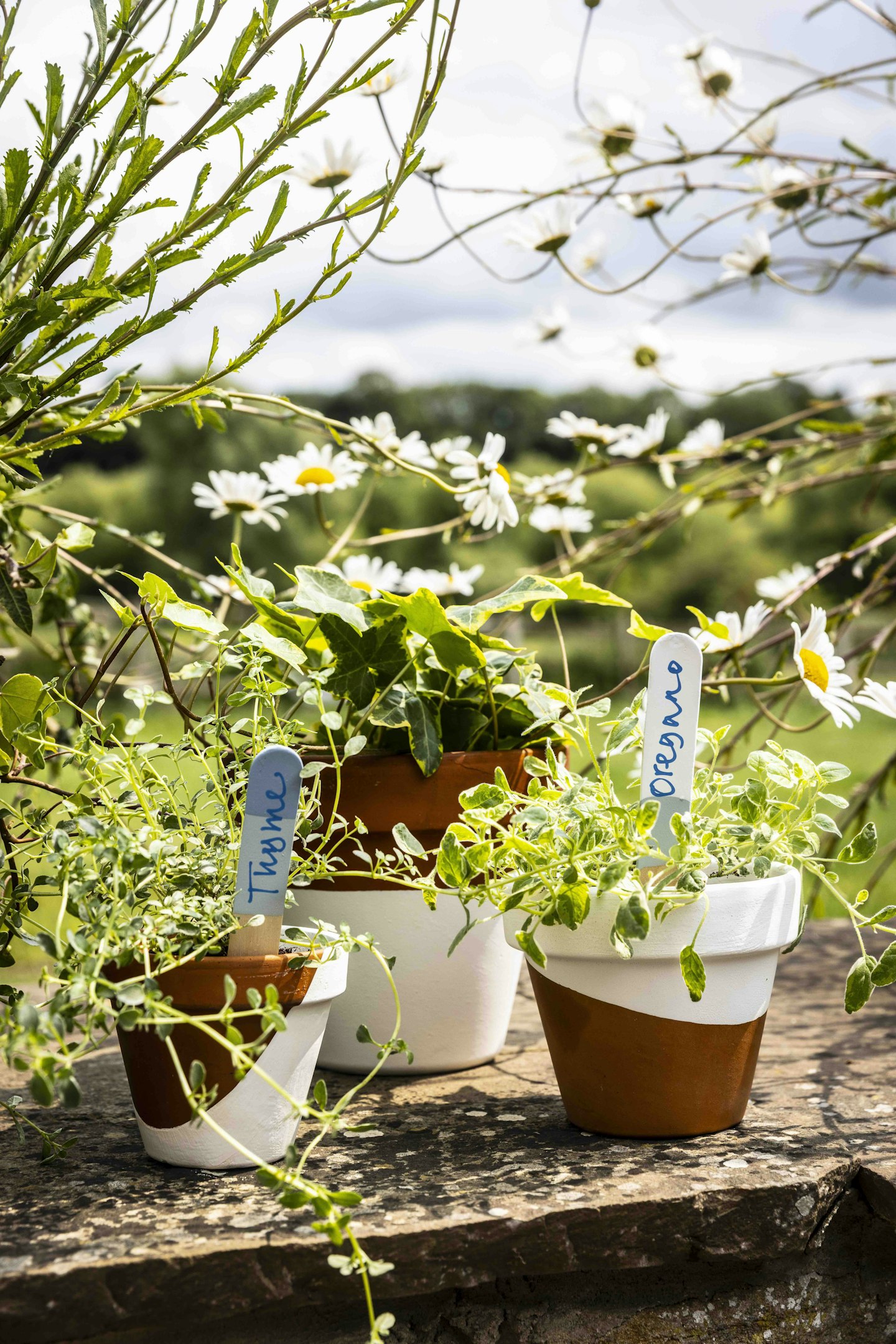Terracotta pots dipped in paint as a craft from LandScape magazine.
