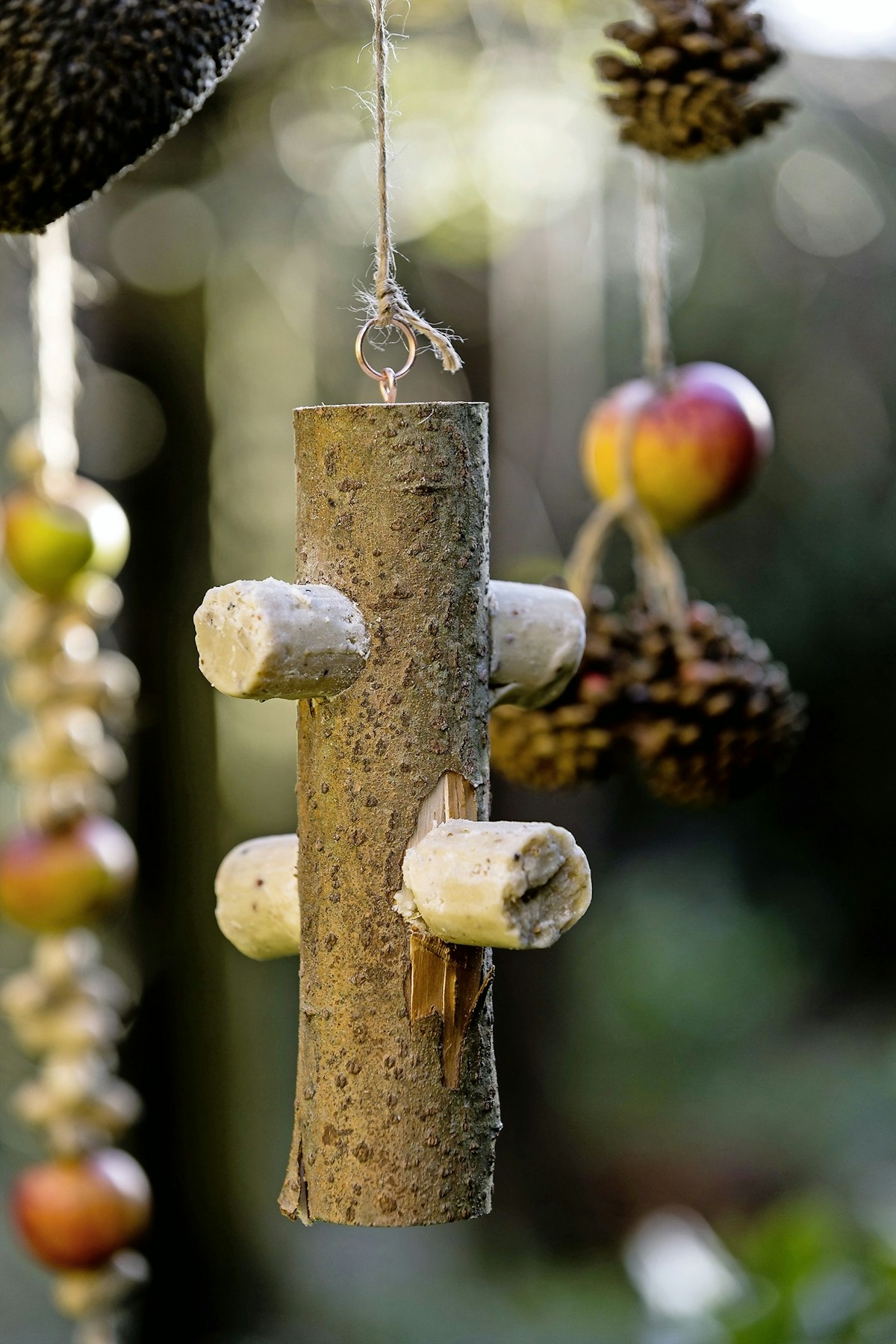 Bird wreath feeder