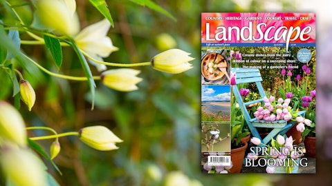 Latest Issues Magazine Landscape Latest Issues Magazine Landscape