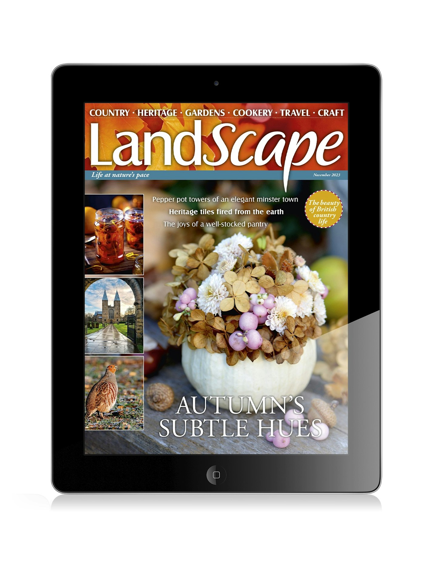 IPAD issue for LandScape magazine