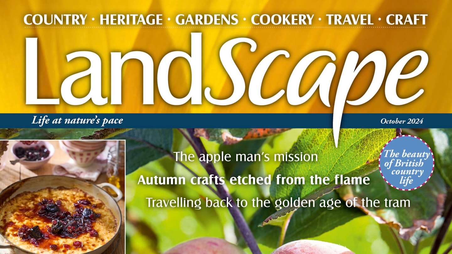Latest Issues | Magazine | Landscape
