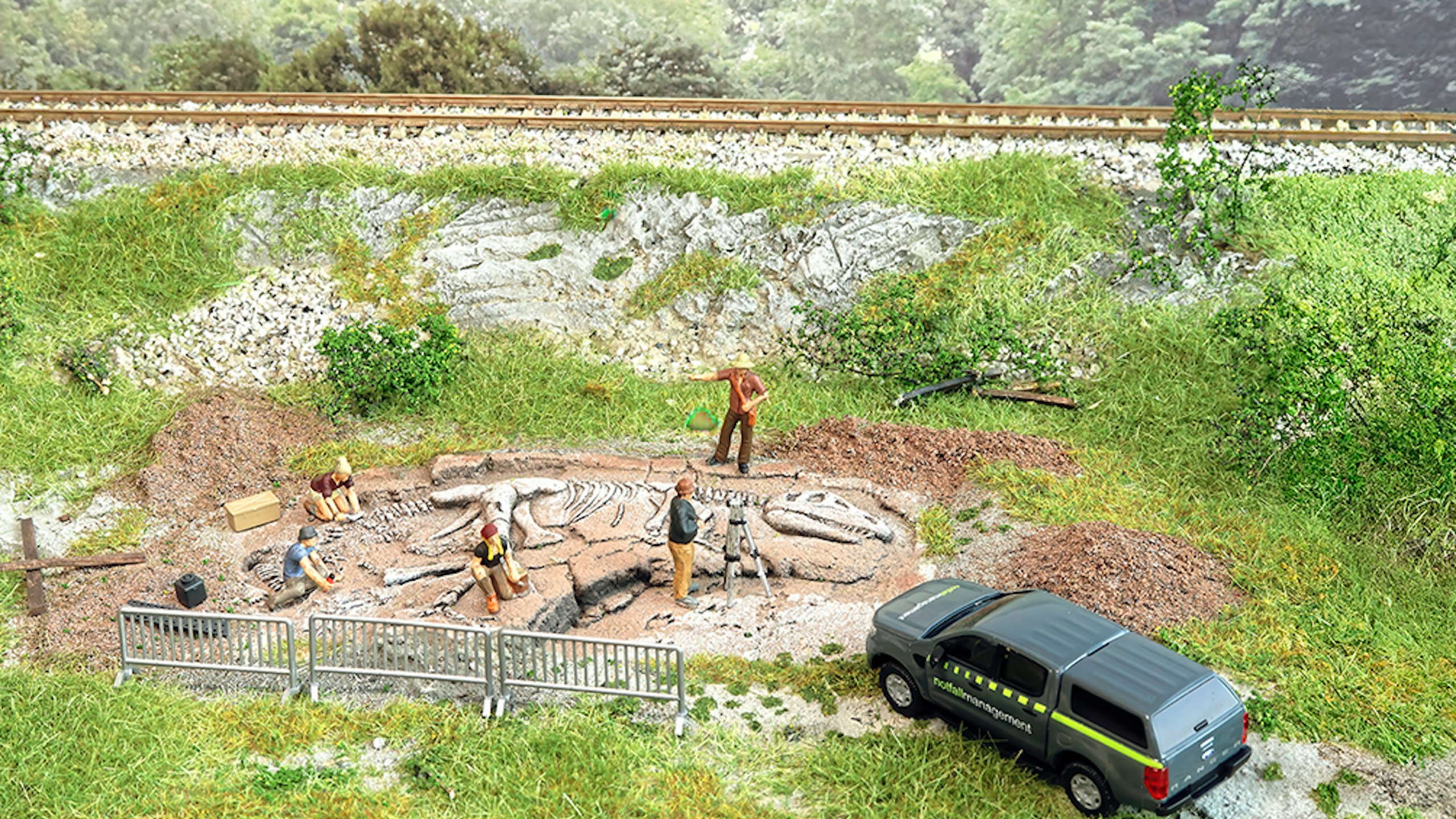 Archaeological dig