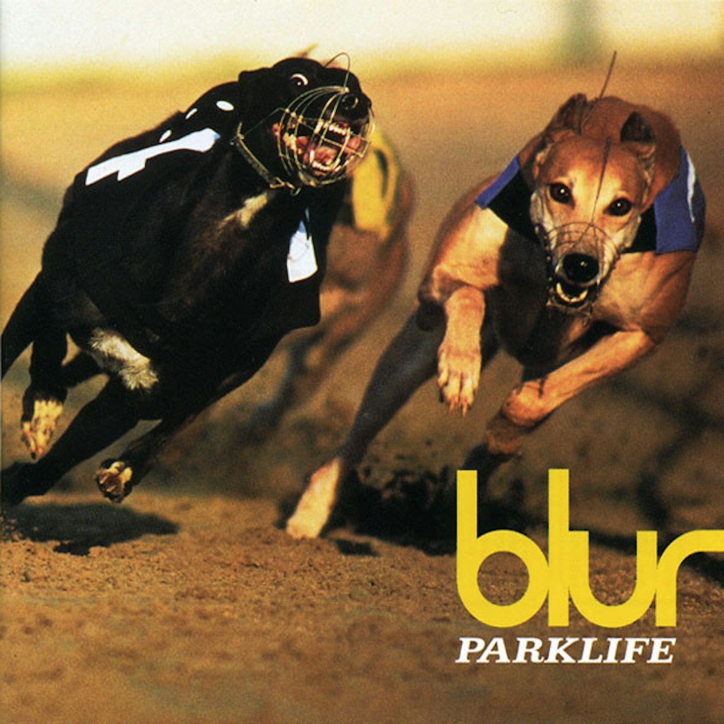 Blur Parklife