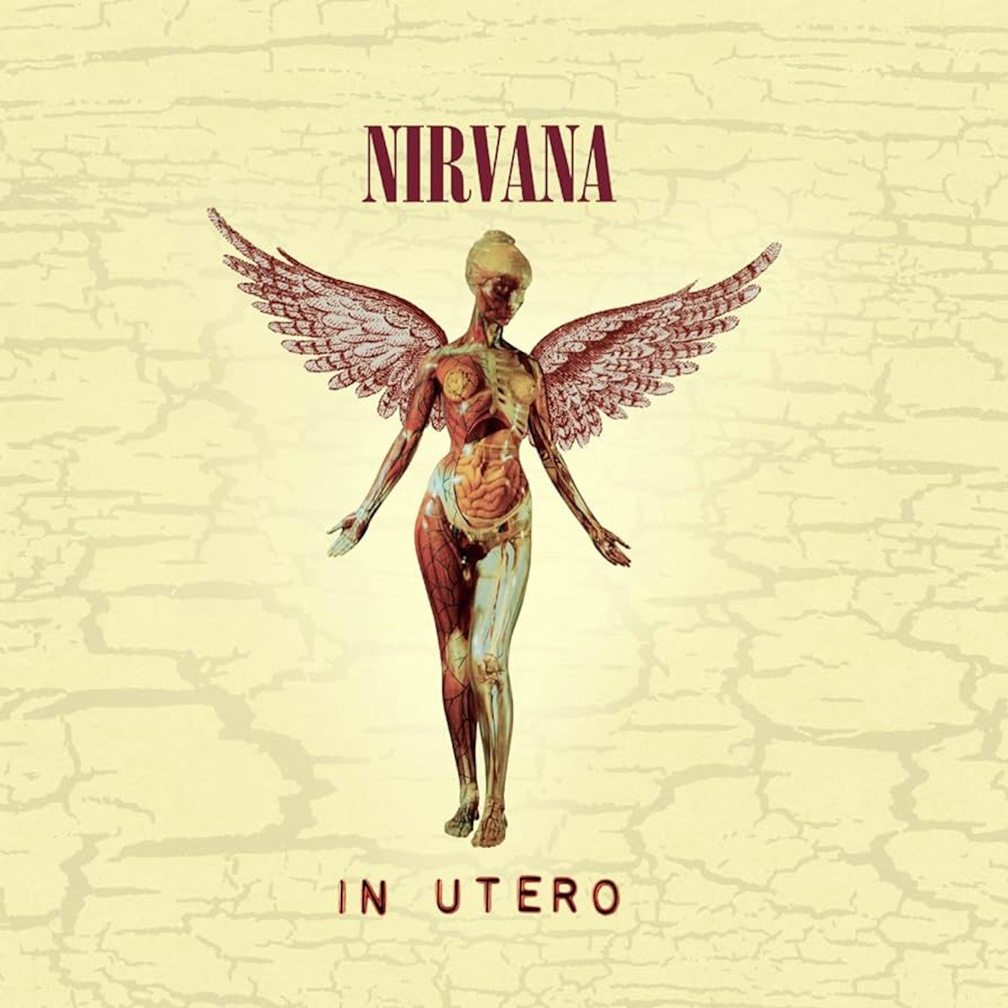 did nirvana tour in utero